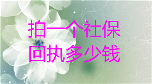 拍一个社保回执多少钱？