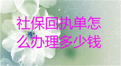 社保回执单怎么办理多少钱？