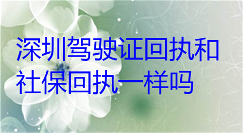 深圳驾驶证回执和社保回执一样吗？