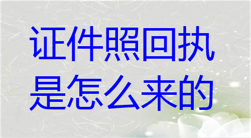 证件照回执是怎么来的
