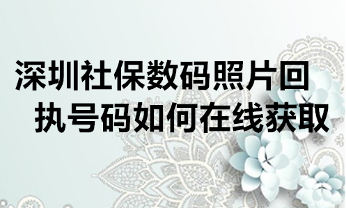 深圳社保卡数码照片回执号如何在线获取