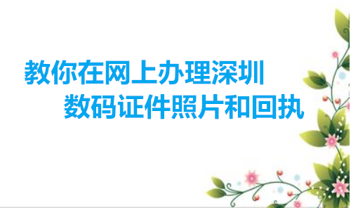 教你在网上办理深圳数码证件照和回执