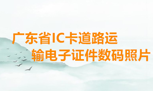 广东省IC卡道路运输电子证数码照片
