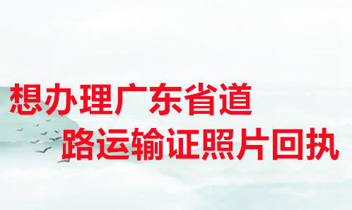 想办理广东省道路运输资格证照片回执