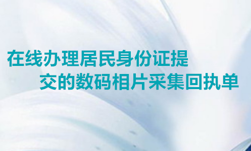 在线办理居住证身份证提交的数码相片采集回执单