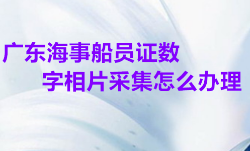 广东海员证/海事船员证数字相片采集怎么办理