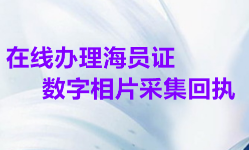 在线办理广东海员证数字相片采集回执