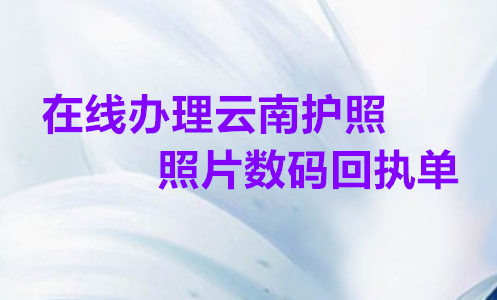在线办理云南护照照片数码回执单
