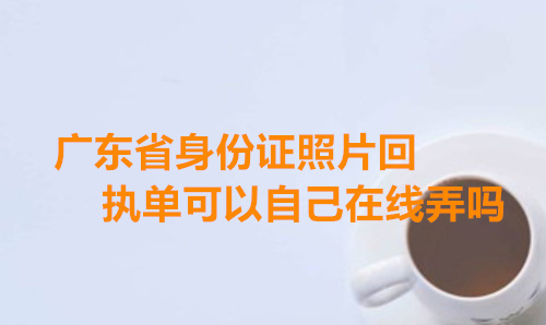 广东省身份证照片回执单可以自己在线弄吗