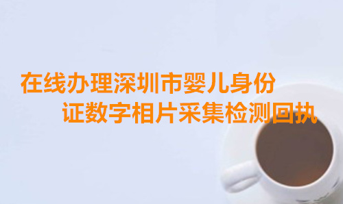 在线办理深圳市婴儿身份证数字相片检测回执