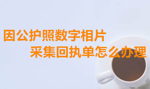 因公护照数字相片采集回执单怎么办理？