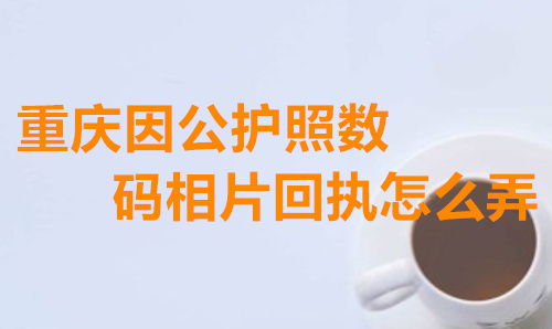 重庆因公护照数码相片回执怎么弄？