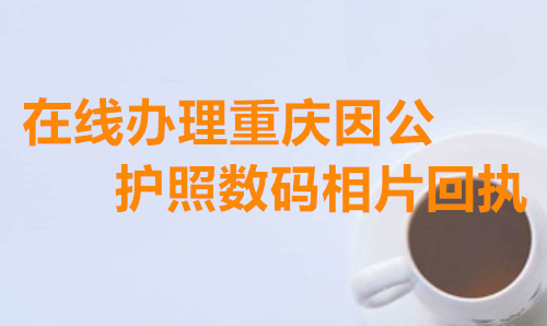 重庆因公护照数码相片回执