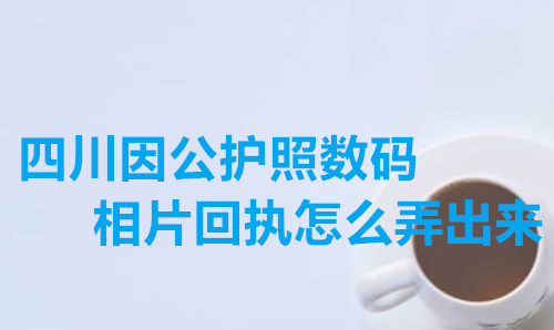 四川因公护照数码相片回执怎么弄出来？